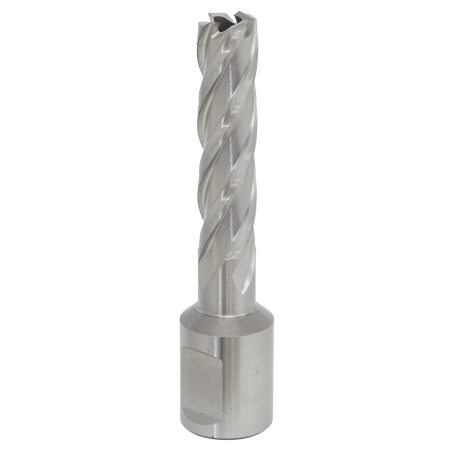 Mag Drill Bit HSS Ø12mm - Cut Depth 50mm