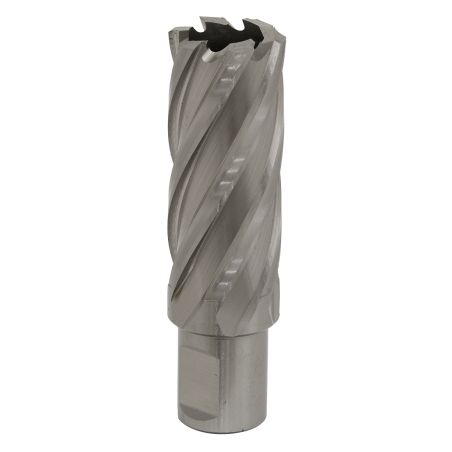 Mag Drill Bit HSS Ø24mm - Cut Depth 50mm