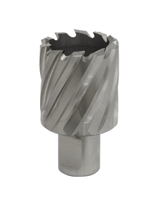 Mag Drill Bit HSS Ø34mm - Cut Depth 25mm