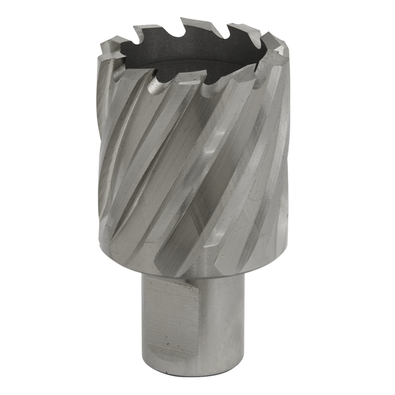 Mag Drill Bit HSS Ø34mm - Cut Depth 25mm