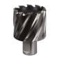 Mag Drill Bit HSS Ø43mm - Cut Depth 25mm