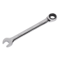 Ratchet Combination Spanner 13mm