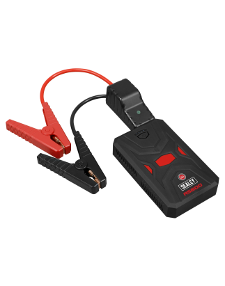 RoadStart® 12V Lithium-ion Jump Starter Power Pack 600A