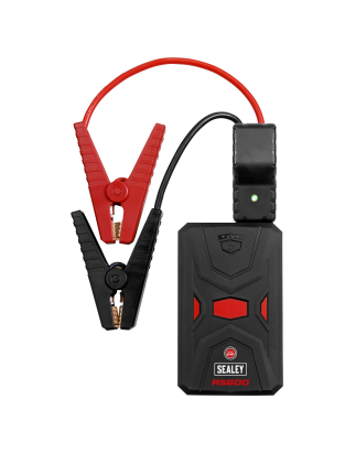 RoadStart® 12V Lithium-ion Jump Starter Power Pack 600A