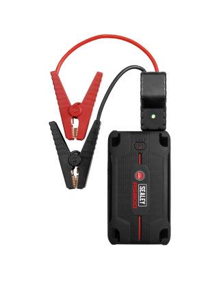 RoadStart® 12V Lithium-ion Jump Starter Power Pack 800A