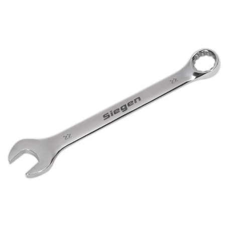 Combination Spanner 22mm