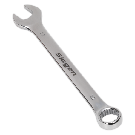 Combination Spanner 22mm