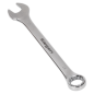 Combination Spanner 25mm