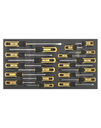 Plateau à outils avec jeu de tournevis 20 pièces