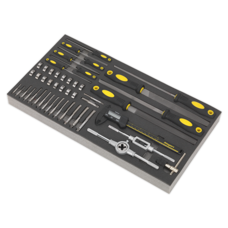 Tool Tray with Tap & Die, File & Caliper Set 48pc