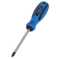 Screwdriver Phillips #2 x 100mm