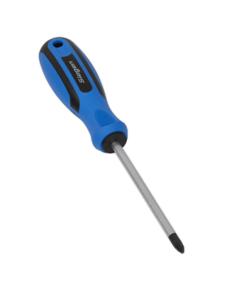 Screwdriver Phillips #2 x 100mm