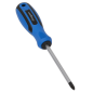 Screwdriver Phillips #2 x 100mm