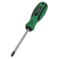 Screwdriver Pozi #2 x 100mm