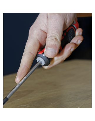 Screwdriver Phillips #2 x 100mm GripMAX®