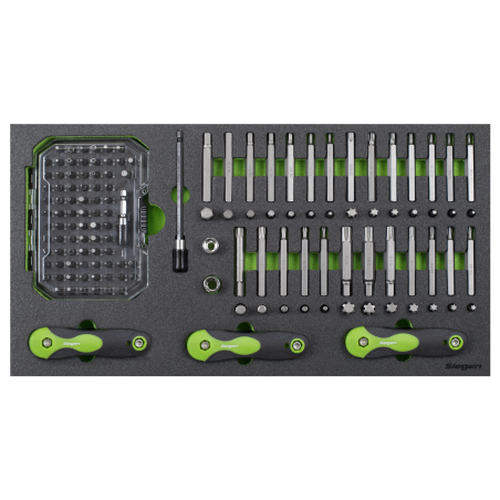 Plateau à outils avec embouts spécialisés et clés hexagonales pliantes 170 pièces