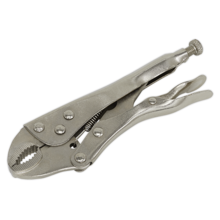 Locking Pliers 175mm Curved Jaw