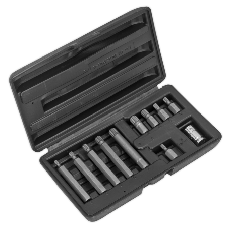 Spline Bit & Holder Set 11pc - 3/8"Sq Drive