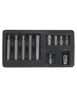 Spline Bit & Holder Set 11pc - 3/8"Sq Drive