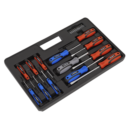 Soft Grip Screwdriver & Bit Set 23pc