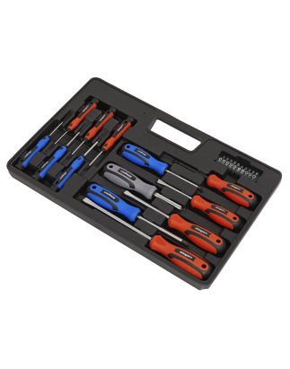 Soft Grip Screwdriver & Bit Set 23pc