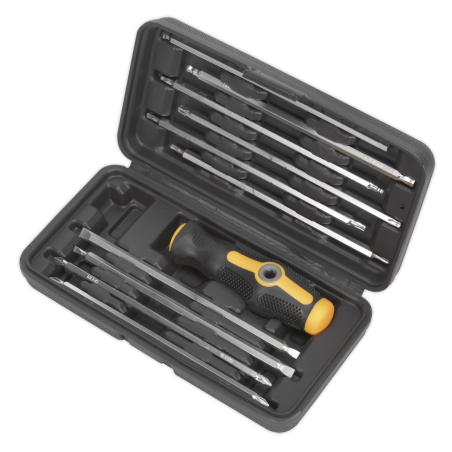 Screwdriver Set 20-in-1