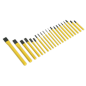 Punch & Chisel Set 21pc