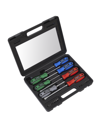 Screwdriver Set 21pc with Storage Case