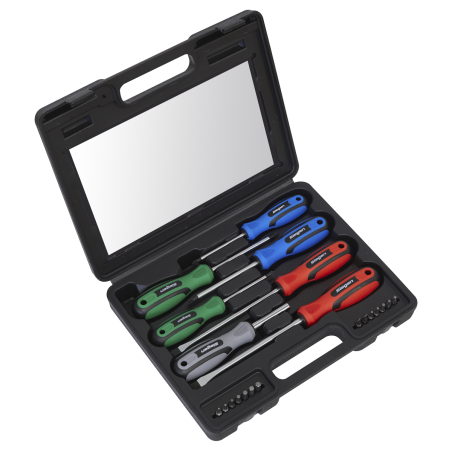 Screwdriver Set 21pc with Storage Case