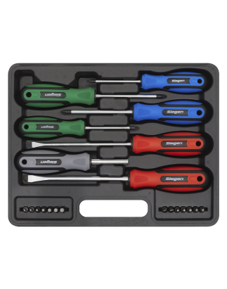 Screwdriver Set 21pc with Storage Case