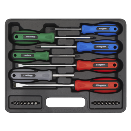 Screwdriver Set 21pc with Storage Case