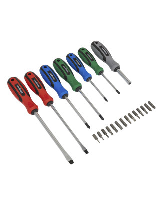 Screwdriver Set 21pc with Storage Case