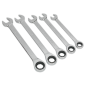 Combination Ratchet Spanner Set 5pc Metric