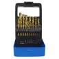 HSS Fully Ground Drill Bit Set 19pc DIN 338 Metric