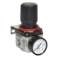 High Flow Air Regulator