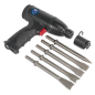 Premier Medium Stroke Composite Air Hammer Kit