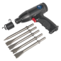 Premier Medium Stroke Composite Air Hammer Kit