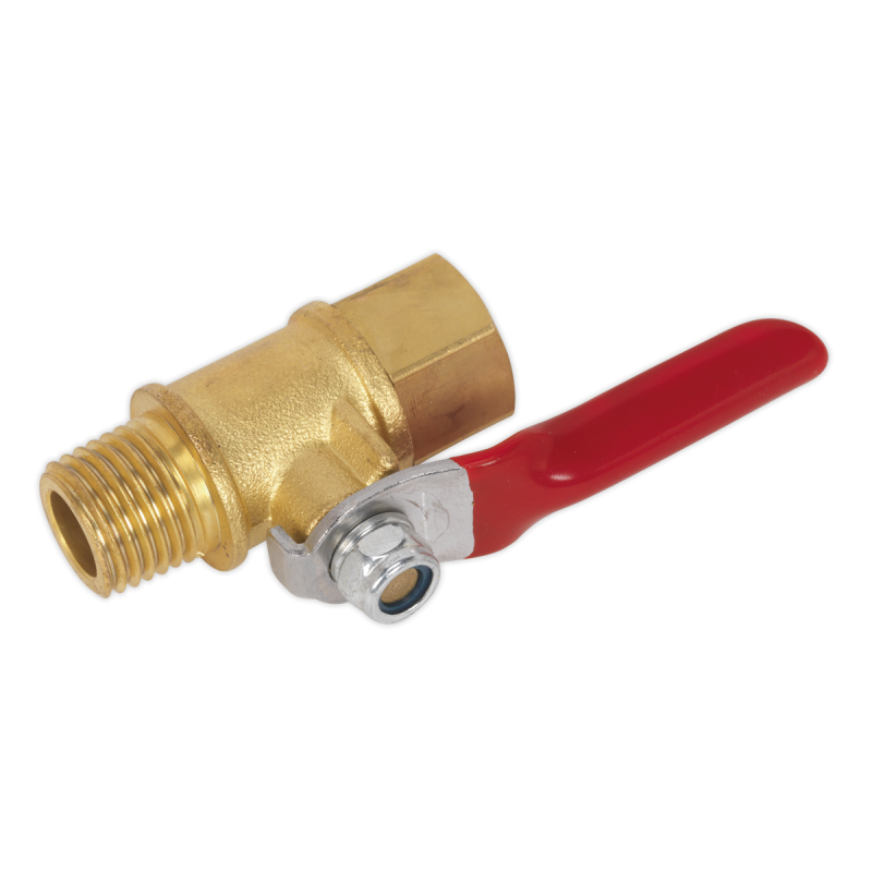 Lever Ball Valve 1/4"BSPT Male x 1/4"BSP Female