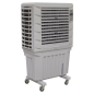 Commercial Portable Air Cooler