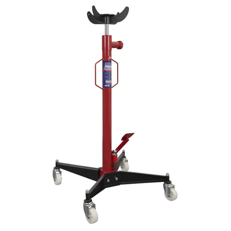 Vertical Transmission Jack 300kg