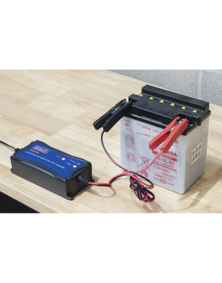 12V Fully Automatic Battery Maintainer/Charger 4A