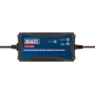 12V Fully Automatic Battery Maintainer/Charger 6A