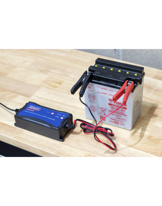 Mainteneur/chargeur de batterie entièrement automatique 12 V, 6 A