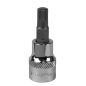 Spline Socket Bit M8 3/8"Sq Drive