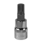 Spline Socket Bit M10 3/8"Sq Drive