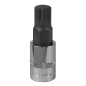 Spline Socket Bit M12 3/8"Sq Drive