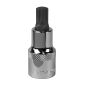 Spline Socket Bit M10 1/2"Sq Drive