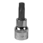 TRX-Star* Socket Bit T47 3/8"Sq Drive