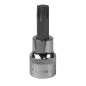 TRX-Star* Socket Bit T50 3/8"Sq Drive