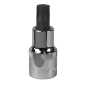 TRX-Star* Socket Bit T55 1/2"Sq Drive